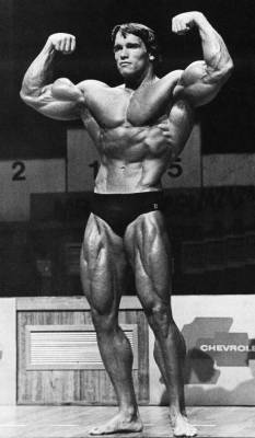 ARNOLD SHWANZEGER